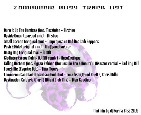500 mini mix
